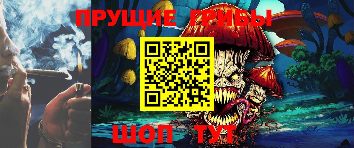 Псилоцибиновые грибы Psilocybe  купить   Галлюциногенные грибы GOLDEN TEACHER  Будённовск  Вход с VPN 