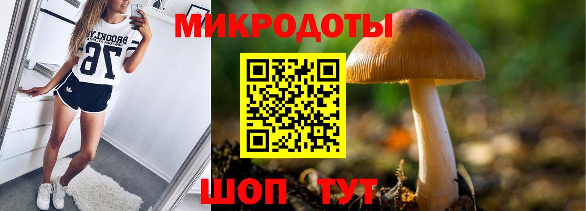Галлюциногенные грибы Magic Shrooms Будённовск