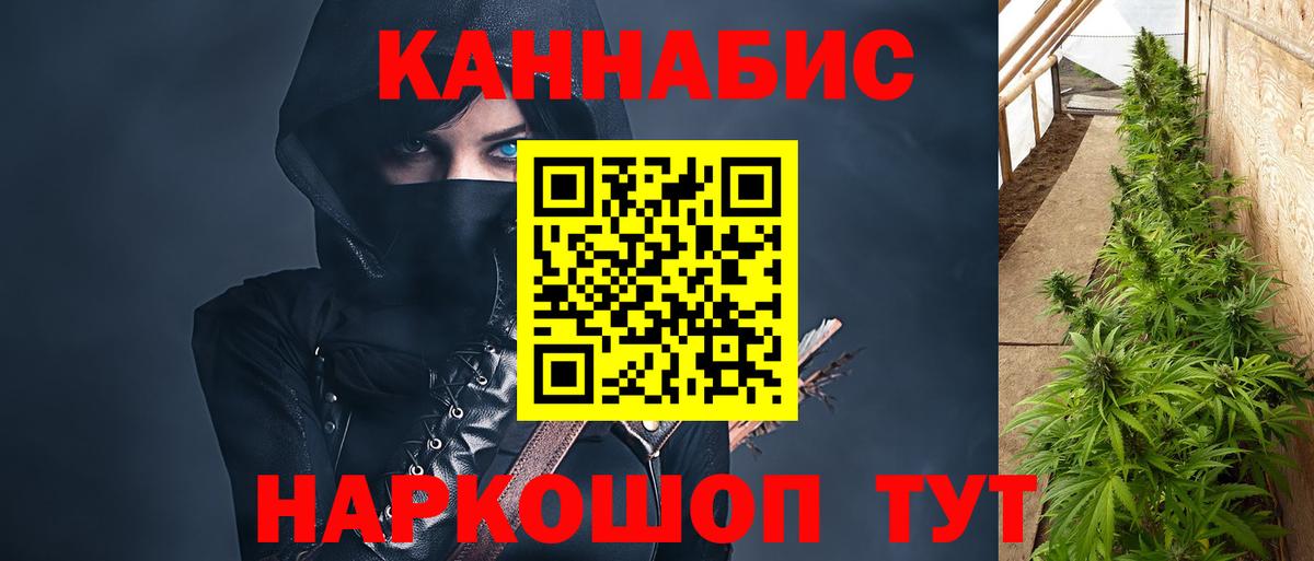 Будённовск  Канабис гибрид  Бошки Шишки тримм  МАРИХУАНА семена  Вход с VPN 